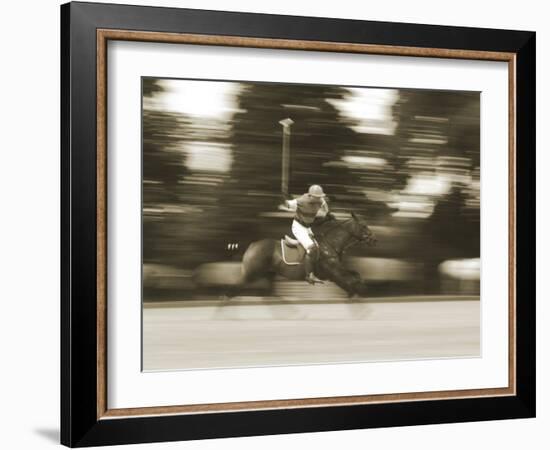 Polo-null-Framed Photographic Print