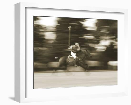 Polo--Framed Photographic Print