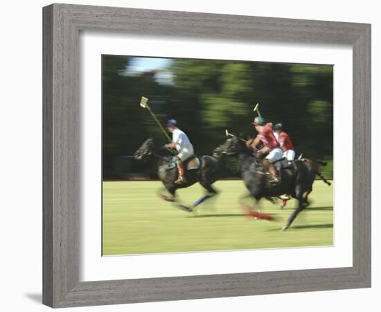 Polo-null-Framed Photographic Print