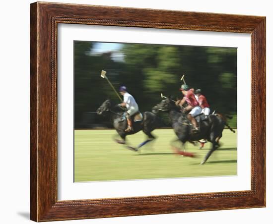 Polo-null-Framed Photographic Print