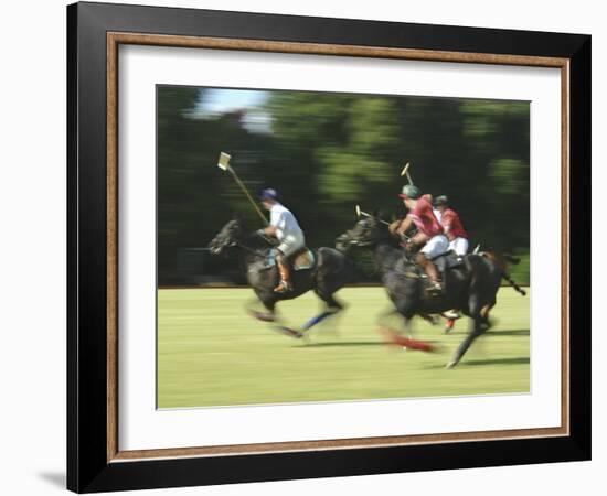 Polo-null-Framed Photographic Print
