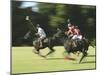 Polo-null-Mounted Photographic Print