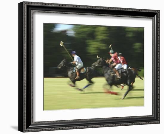 Polo-null-Framed Photographic Print