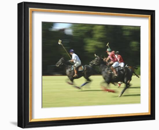 Polo-null-Framed Photographic Print