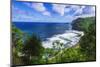 Pololu Valley and beach, North Kohala, The Big Island, Hawaii, USA-Russ Bishop-Mounted Photographic Print