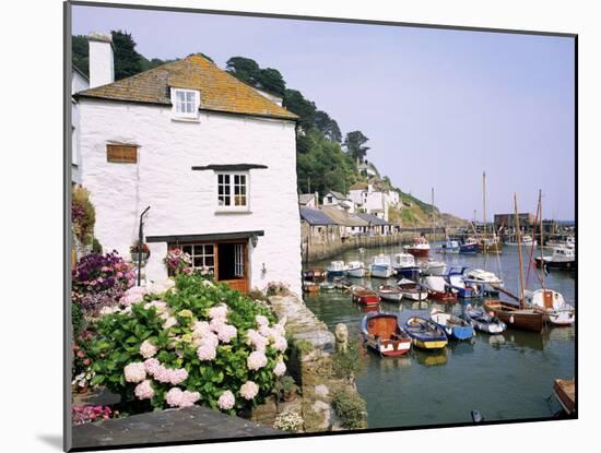 Polperro, Cornwall, England, United Kingdom-Roy Rainford-Mounted Photographic Print