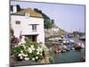 Polperro, Cornwall, England, United Kingdom-Roy Rainford-Mounted Photographic Print