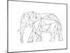 Poly Elephant-Pam Varacek-Mounted Art Print