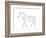 Poly Horse-Pam Varacek-Framed Premium Giclee Print