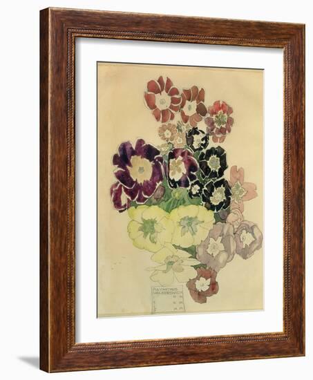 Polyanthus, Walberswick, 1915-Charles Rennie Mackintosh-Framed Giclee Print