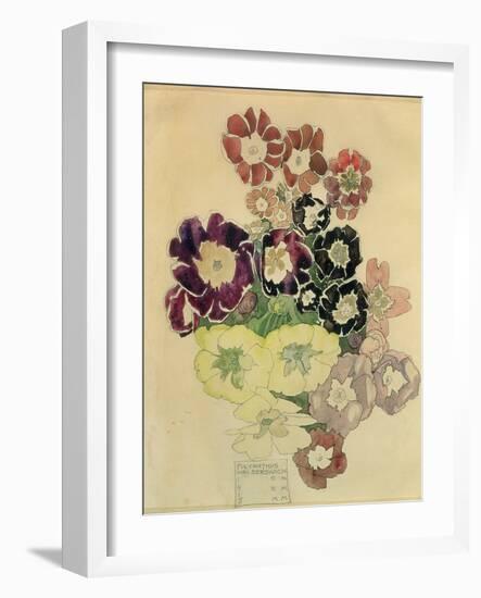 Polyanthus, Walberswick, 1915-Charles Rennie Mackintosh-Framed Giclee Print