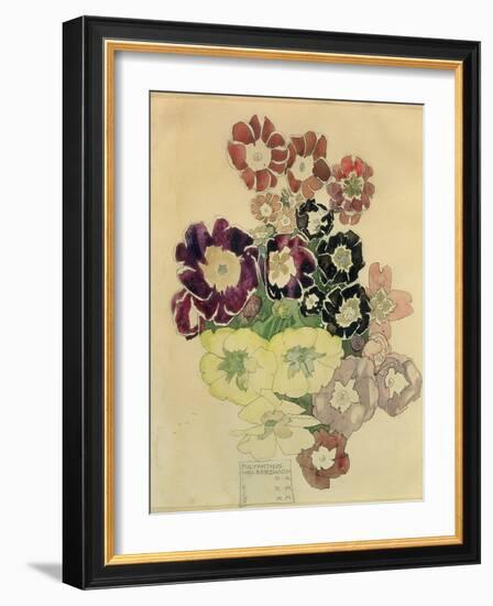 Polyanthus, Walberswick, 1915-Charles Rennie Mackintosh-Framed Giclee Print