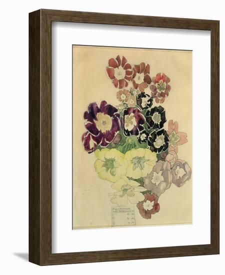 Polyanthus, Walberswick, 1915-Charles Rennie Mackintosh-Framed Giclee Print