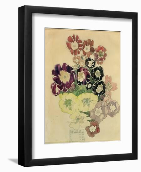 Polyanthus, Walberswick, 1915-Charles Rennie Mackintosh-Framed Giclee Print