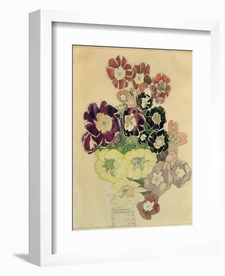 Polyanthus, Walberswick, 1915-Charles Rennie Mackintosh-Framed Giclee Print