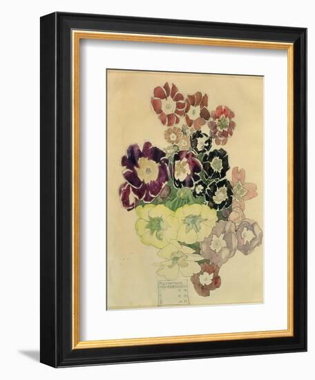 Polyanthus, Walberswick, 1915-Charles Rennie Mackintosh-Framed Giclee Print