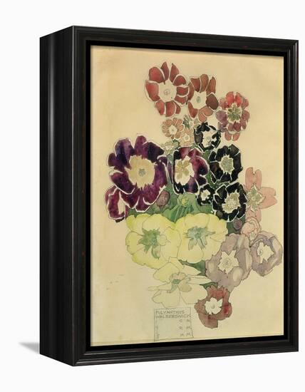 Polyanthus, Walberswick, 1915-Charles Rennie Mackintosh-Framed Premier Image Canvas