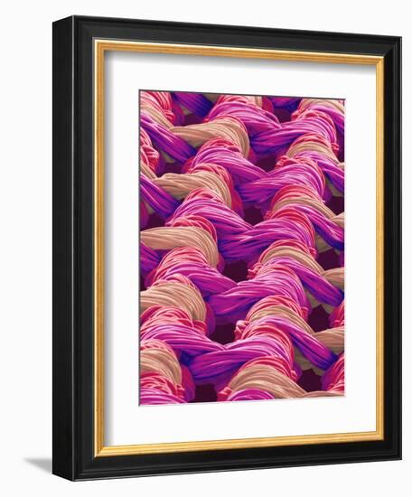 Polyester and Nylon Cloth of Woman's Bodybriefer-Micro Discovery-Framed Photographic Print