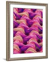 Polyester and Nylon Cloth of Woman's Bodybriefer-Micro Discovery-Framed Photographic Print