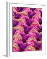 Polyester and Nylon Cloth of Woman's Bodybriefer-Micro Discovery-Framed Photographic Print