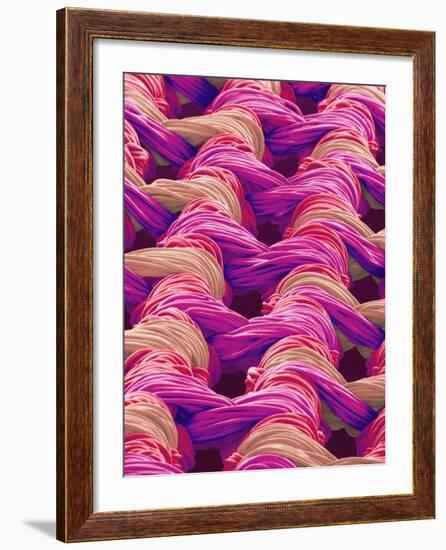 Polyester and Nylon Cloth of Woman's Bodybriefer-Micro Discovery-Framed Photographic Print