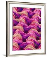 Polyester and Nylon Cloth of Woman's Bodybriefer-Micro Discovery-Framed Photographic Print