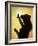 Polynesian Dancer, Ahu Tahai, Easter Island-Angelo Cavalli-Framed Photographic Print