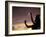 Polynesian Dancer, Ahu Tahai, Easter Island-Angelo Cavalli-Framed Photographic Print