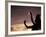 Polynesian Dancer, Ahu Tahai, Easter Island-Angelo Cavalli-Framed Photographic Print