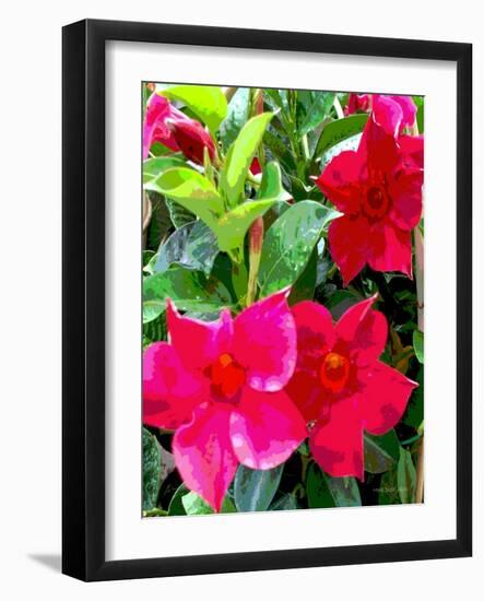 Polynesian Pride-Herb Dickinson-Framed Photographic Print