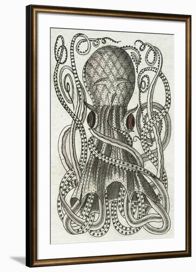 Polypus I-Chris Dunker-Framed Giclee Print