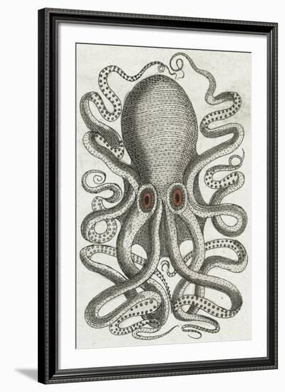 Polypus II-Chris Dunker-Framed Giclee Print