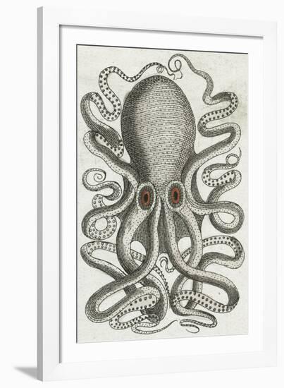 Polypus II-Chris Dunker-Framed Giclee Print