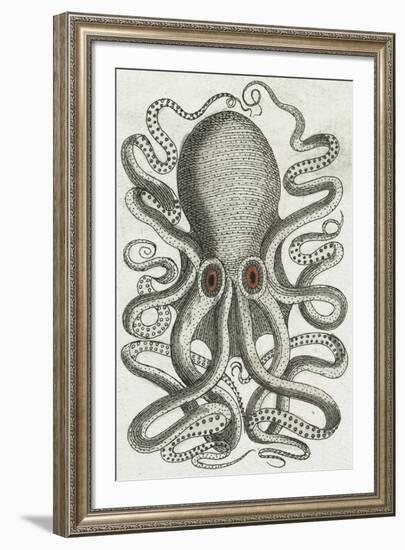 Polypus II-Chris Dunker-Framed Giclee Print