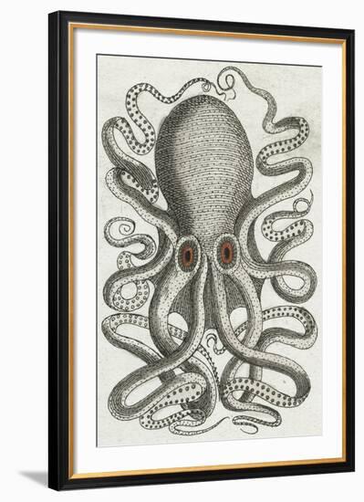 Polypus II-Chris Dunker-Framed Giclee Print