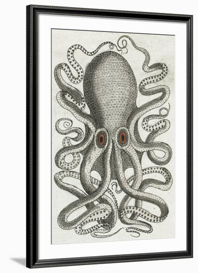 Polypus II-Chris Dunker-Framed Giclee Print