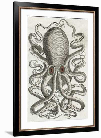 Polypus II-Chris Dunker-Framed Giclee Print