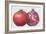 Pomegranate, 1995-Margaret Ann Eden-Framed Giclee Print