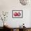 Pomegranate, 1995-Margaret Ann Eden-Framed Giclee Print displayed on a wall