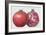 Pomegranate, 1995-Margaret Ann Eden-Framed Giclee Print