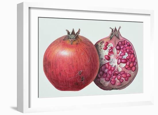 Pomegranate, 1995-Margaret Ann Eden-Framed Giclee Print