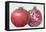 Pomegranate, 1995-Margaret Ann Eden-Framed Premier Image Canvas