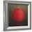 Pomegranate, 2010-Lincoln Seligman-Framed Giclee Print