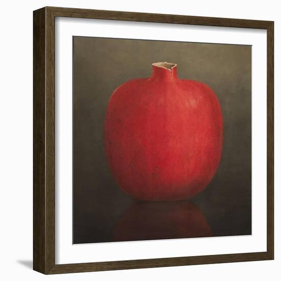 Pomegranate, 2010-Lincoln Seligman-Framed Giclee Print