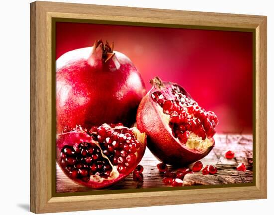 Pomegranate Fruit-Subbotina Anna-Framed Premier Image Canvas