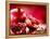 Pomegranate Fruit-Subbotina Anna-Framed Premier Image Canvas