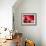 Pomegranate Fruit-Subbotina Anna-Framed Photographic Print displayed on a wall