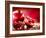 Pomegranate Fruit-Subbotina Anna-Framed Photographic Print