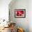 Pomegranate Fruit-Subbotina Anna-Framed Photographic Print displayed on a wall