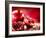 Pomegranate Fruit-Subbotina Anna-Framed Photographic Print